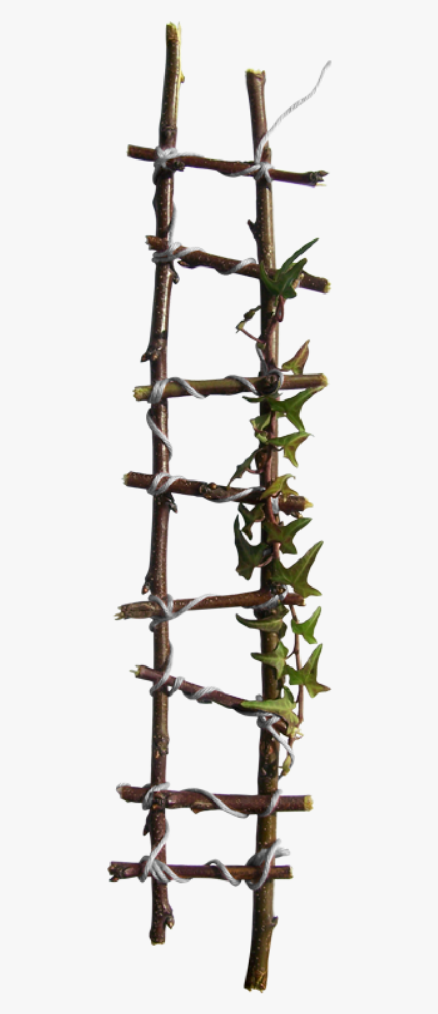 #ftestickers #ladder #rope - Tree Branch Ladder, HD Png Download, Free Download