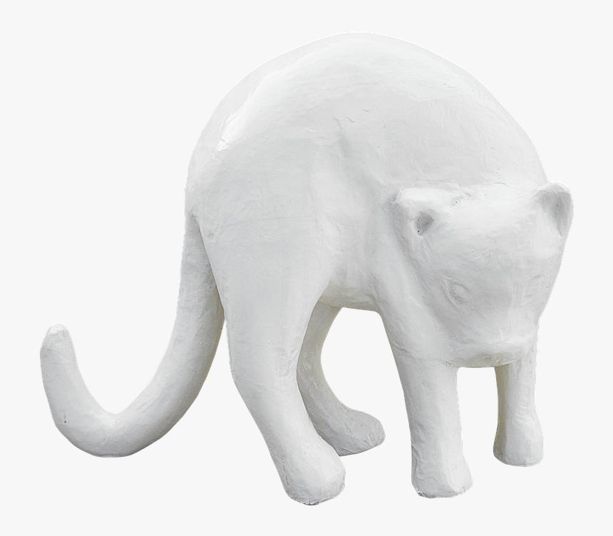 Png Cat Plaster Free Photo - Indian Elephant, Transparent Png, Free Download