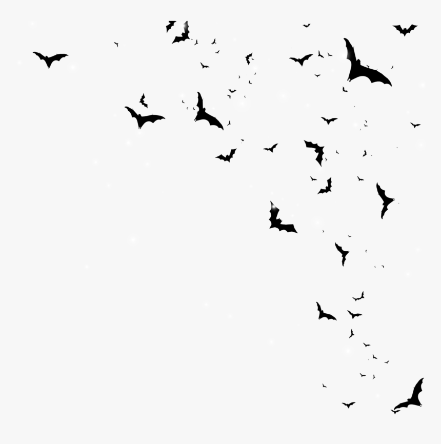 #freetoedit, #stars #flying Bats - Flying Bats Png, Transparent Png, Free Download