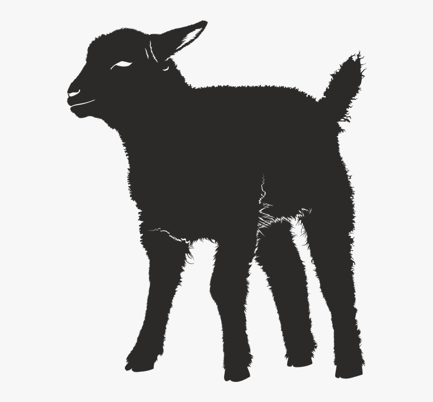 Baby Goat Silhouette, HD Png Download, Free Download