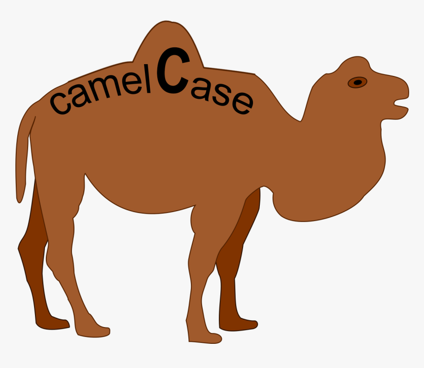Pascal Case Camel Case, HD Png Download, Free Download