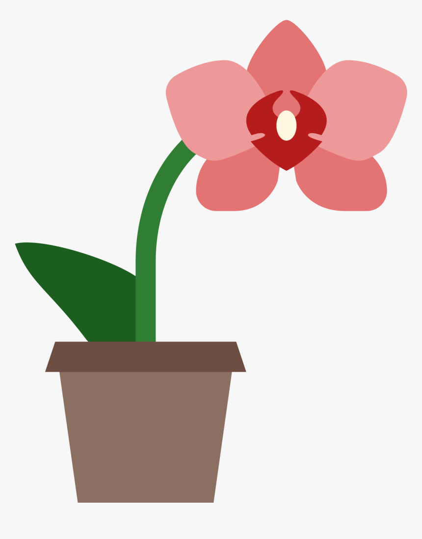 Orchid Transparent Cartoon - Orchidee Icon, HD Png Download, Free Download