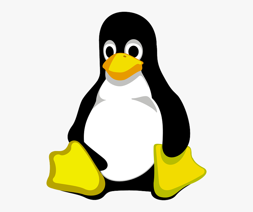 Linux Logo Png, Transparent Png, Free Download