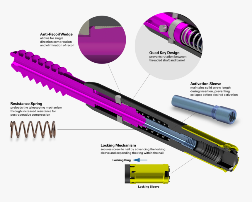 Galileo Lag Screw Main - Parallel, HD Png Download, Free Download