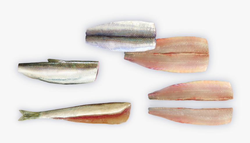 Baltic Herring Nobbing, Filleting And Belly Cleaning - Cleaning Herring, HD Png Download, Free Download