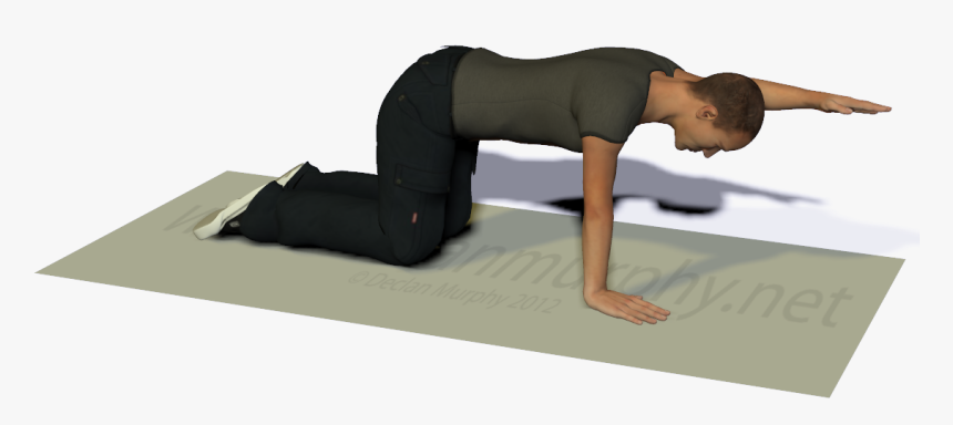 Bird-dog Exercise With Arm Strongly Outstretched - Press Up, HD Png Download, Free Download