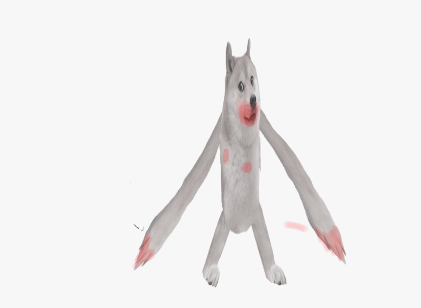 Diagonal Pliers, HD Png Download, Free Download