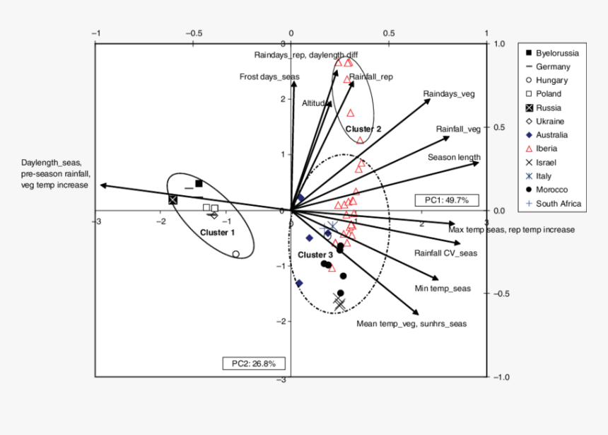 Diagram, HD Png Download, Free Download