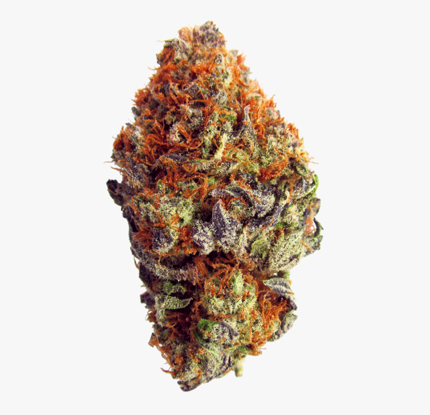 Pin Weed Nug Tumblr On Pinterest - Camouflage, HD Png Download, Free Download
