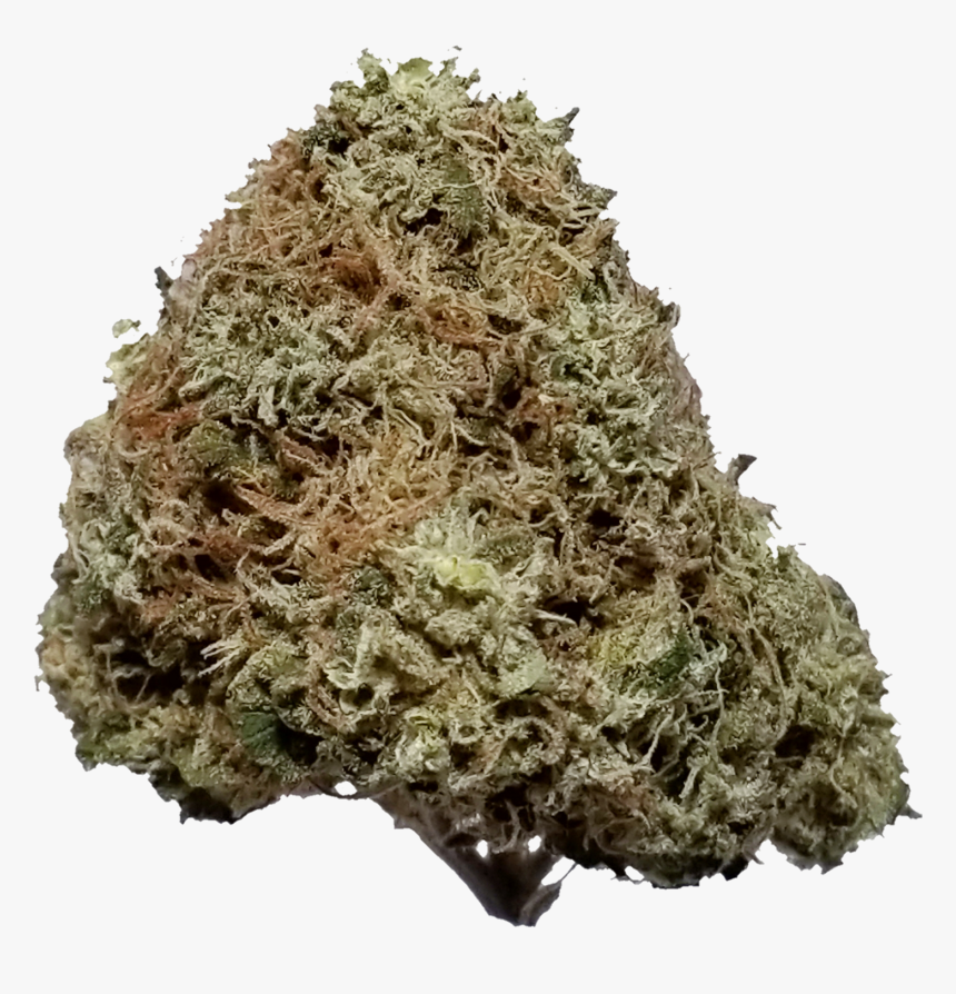 Copper Chem Nug Photo - Forbidden Fruit Strain, HD Png Download, Free Download