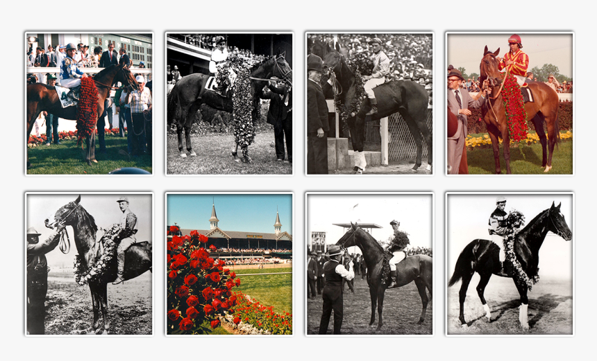 Derby Rose Garland Through The Years"
 Class="img - Stallion, HD Png Download, Free Download