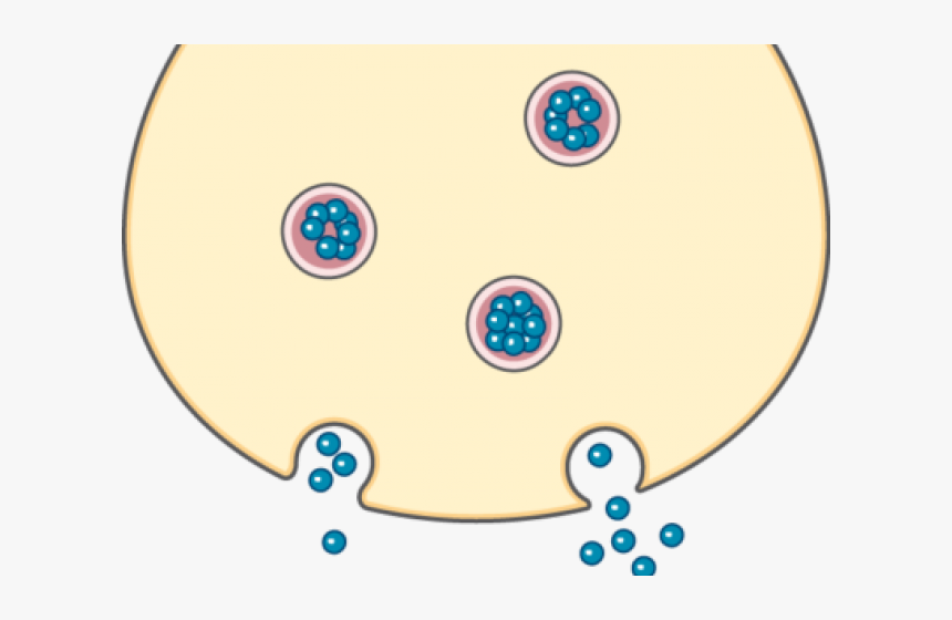 Synapse Clipart System - Circle, HD Png Download, Free Download