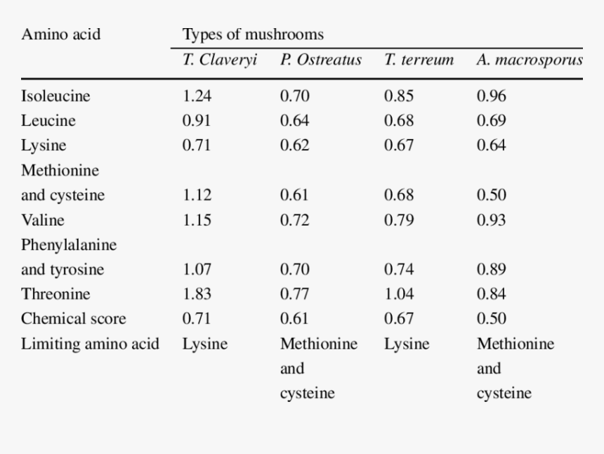 Mushroom Amino Acid Profile, HD Png Download, Free Download