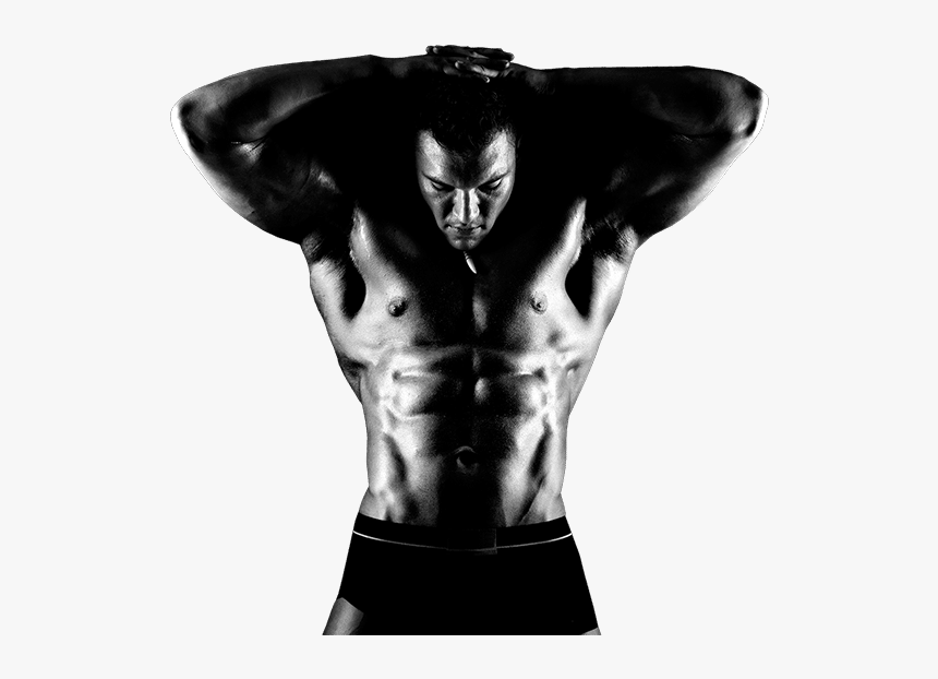 Bodybuilding, HD Png Download, Free Download