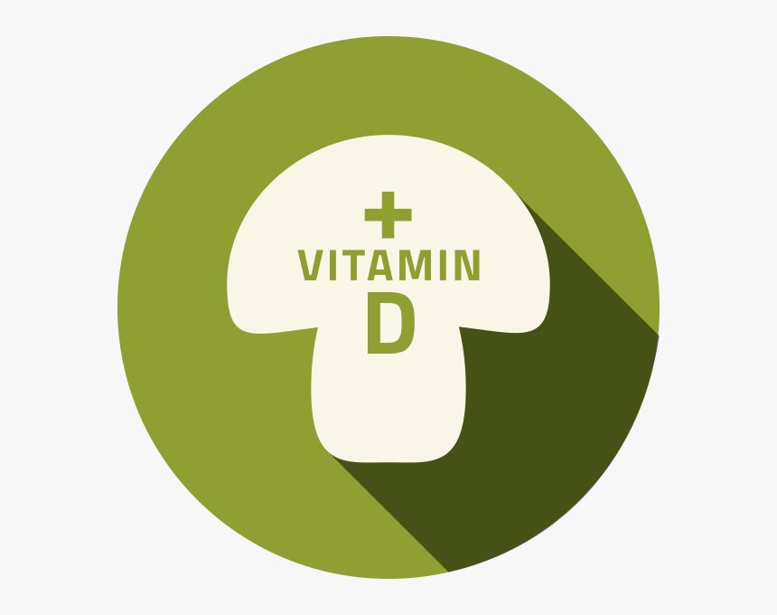 Vitamin D Mushroom - Circle, HD Png Download, Free Download