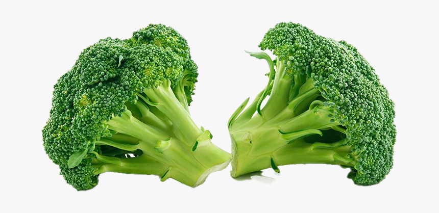 Green Broccoli Png Clipart - Vegetables From The Food Group, Transparent Png, Free Download