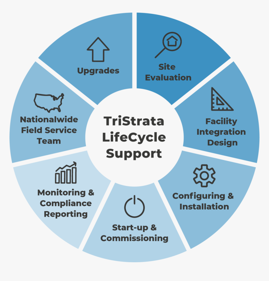 Ts Lifecycle Graphic Opt1 - Circle, HD Png Download, Free Download