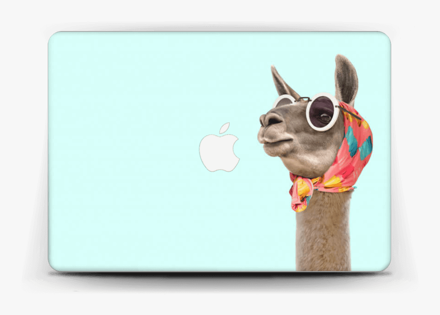 Fashion Llama Skin Macbook Air 13” - Lama Med Solbriller, HD Png Download, Free Download
