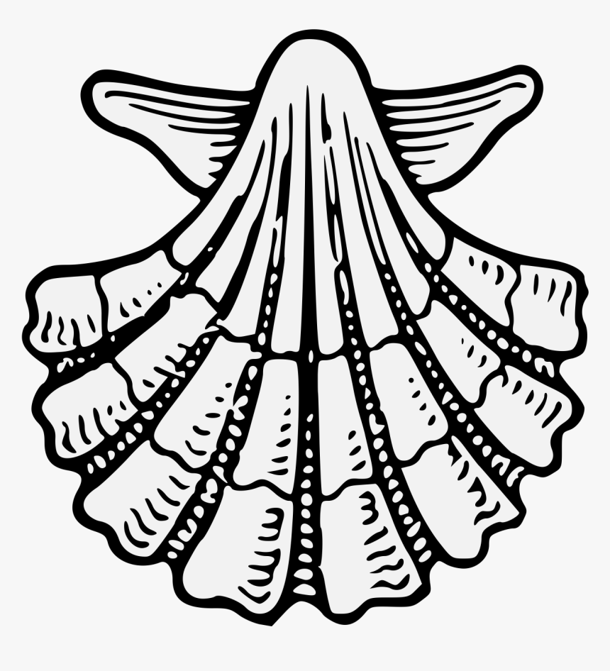 Shell Clipart Heraldic Scallop - Escallop Heraldry, HD Png Download, Free Download