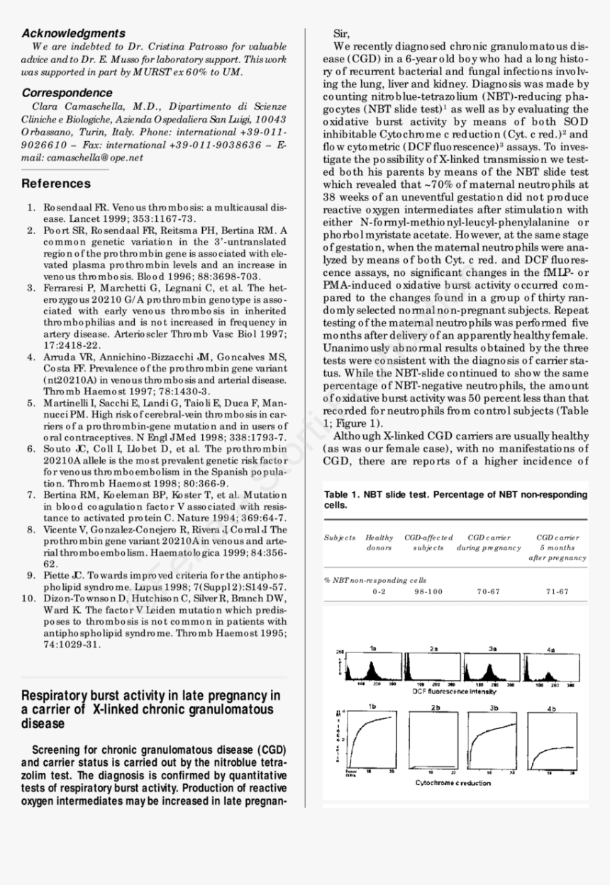 Document, HD Png Download, Free Download