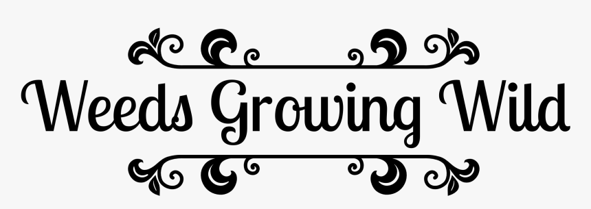 Weeds Growing Wild - Perfection Beauty Font, HD Png Download, Free Download