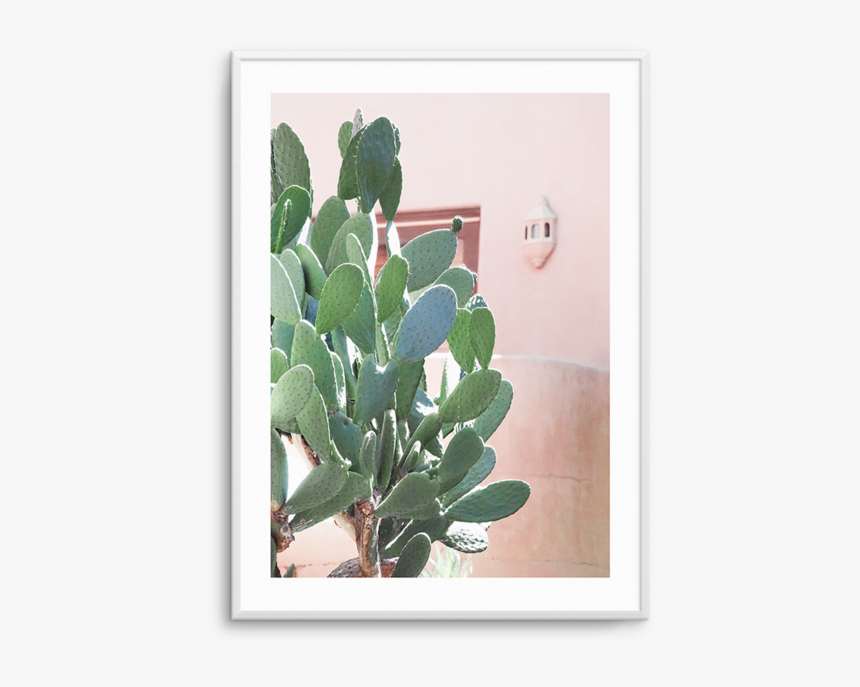 Cactus Png Pastel - Poster, Transparent Png, Free Download