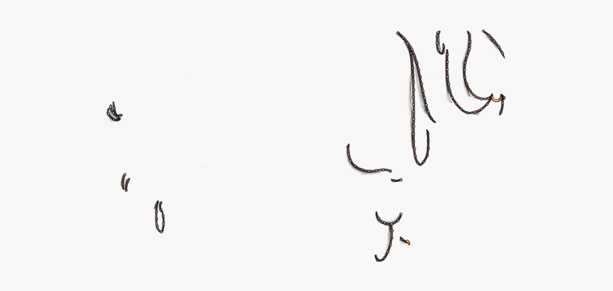 Calligraphy, HD Png Download, Free Download