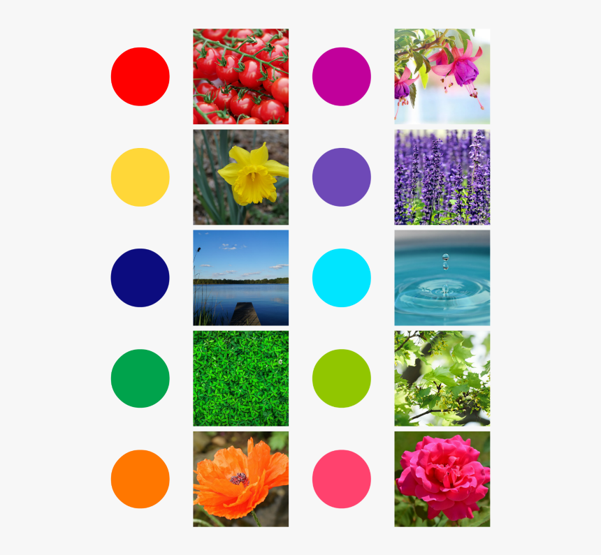 Spring Colors - Circle, HD Png Download, Free Download