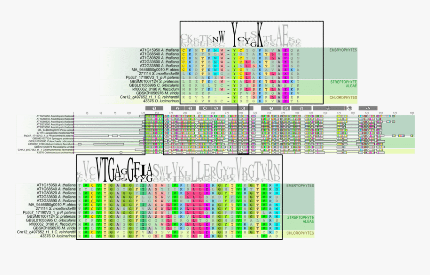 Diagram, HD Png Download, Free Download