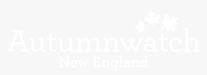 Autumnwatch New England Pbs, HD Png Download, Free Download