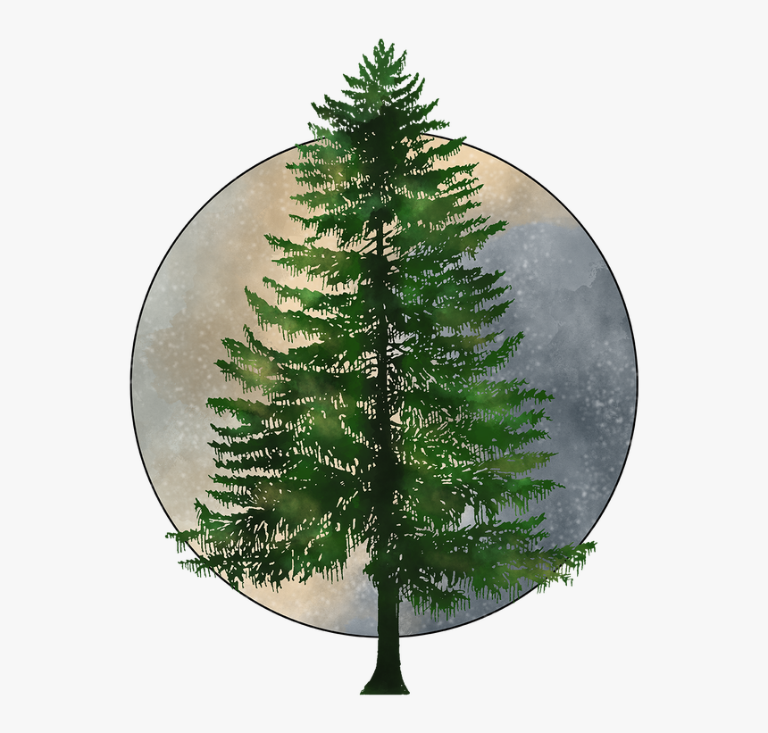 Evergreen Tree Silhouette, HD Png Download, Free Download