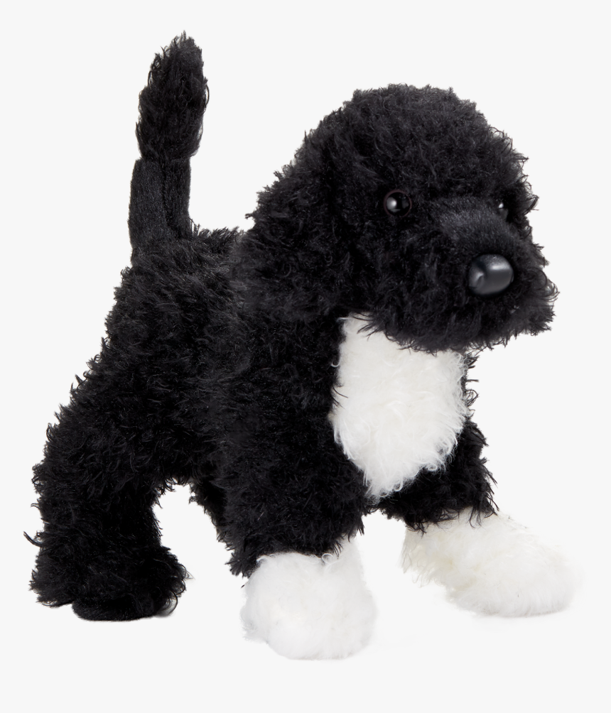 Black And White Portuguese Water Dog Ornament, HD Png Download, Free Download