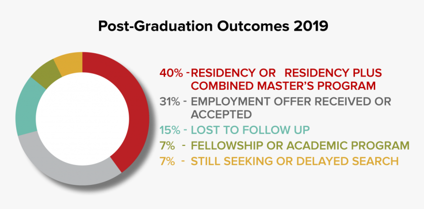 Circle Chart Showing Employment Outcomes For Class, HD Png Download, Free Download