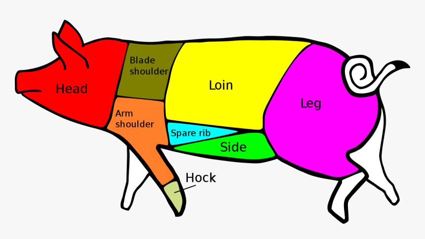 Primary Cuts Of Pork, HD Png Download, Free Download