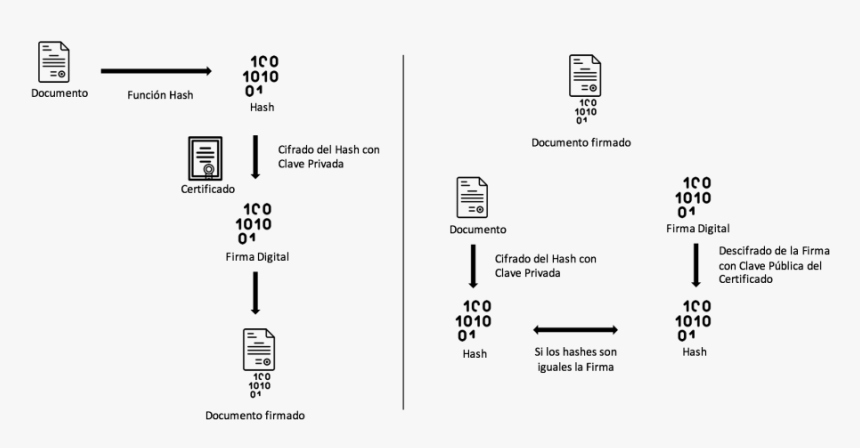 Diagram, HD Png Download, Free Download