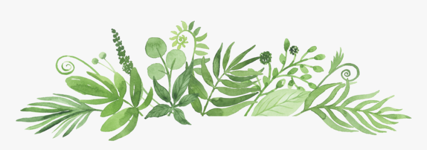 Greenery For Web - Reserve A Data Casamento, HD Png Download, Free Download