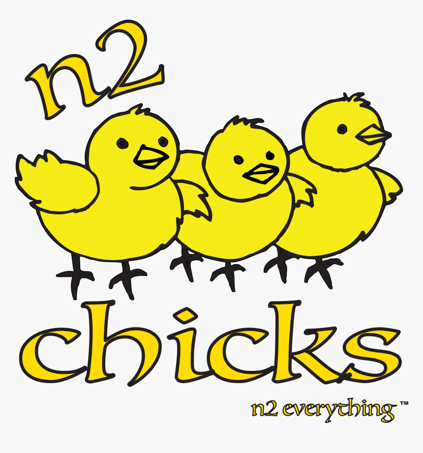 N2 Chicks - Baby Chicks Clip Art, HD Png Download, Free Download