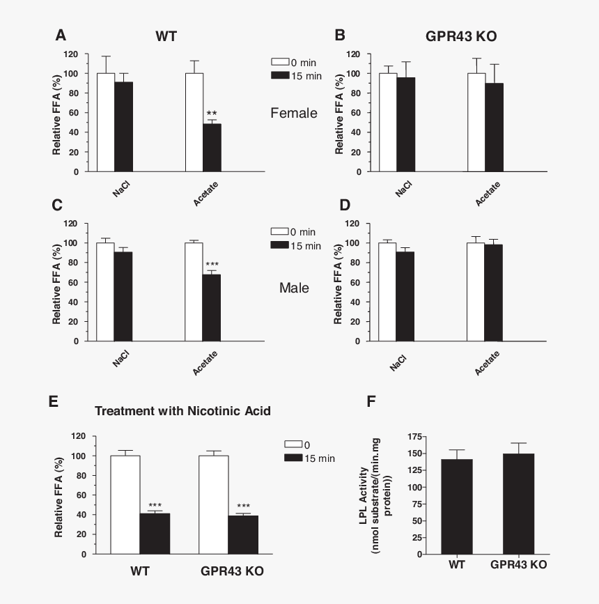 Plasma Ffa In Mice, HD Png Download, Free Download