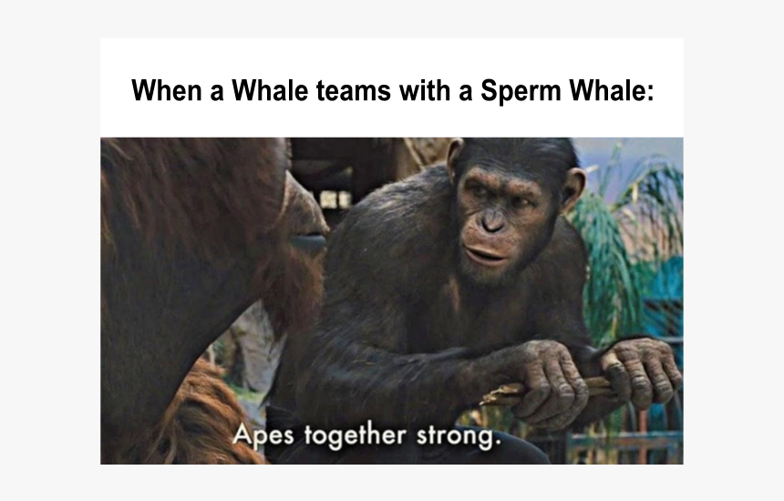 Apes Strong Together Meme, HD Png Download, Free Download