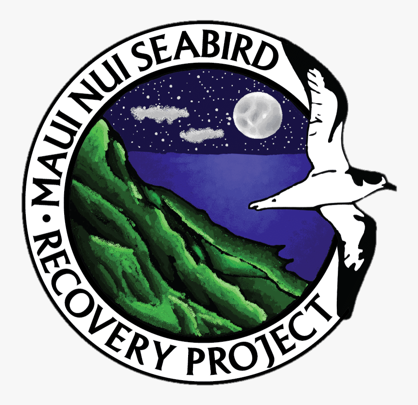 Maui Nui Seabird Recovery Project, HD Png Download, Free Download
