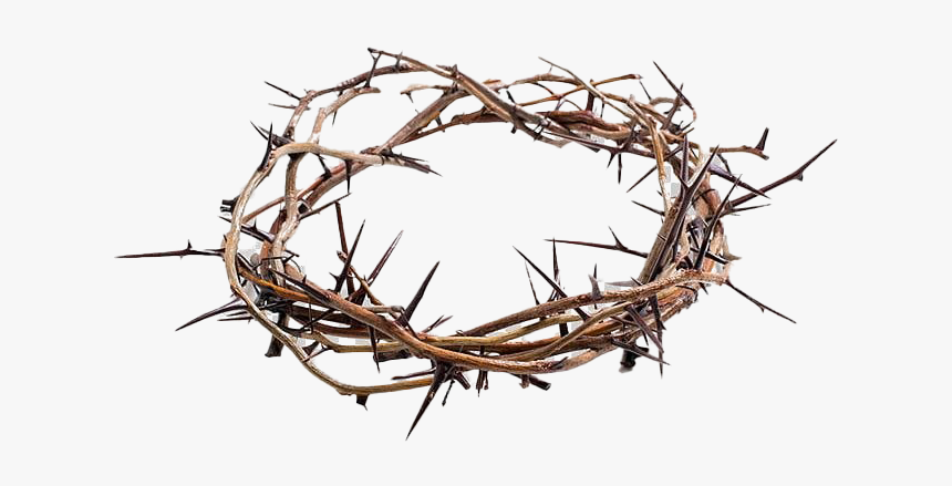 Thorns Crown Png Picture - Jesus Crown Of Thorns Png, Transparent Png, Free Download