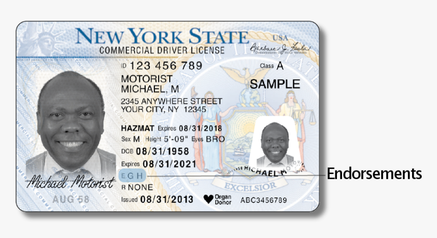 Commercial license. NY Driver License. CDL Driver License. New York Driver License. Commercial Driver License.