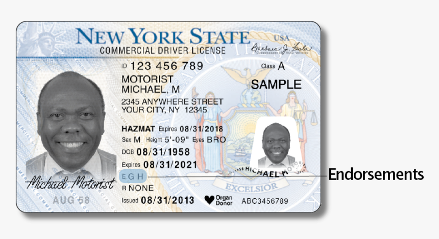 New York Driver's License 2018, HD Png Download, Free Download