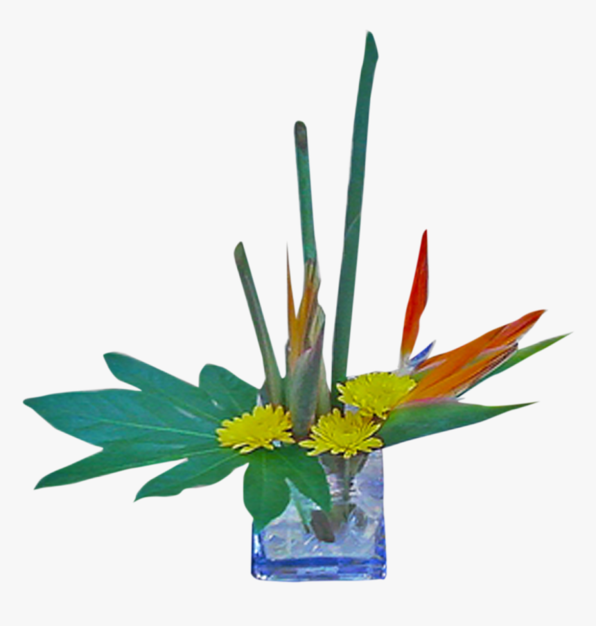 Bird Of Paradise, HD Png Download, Free Download