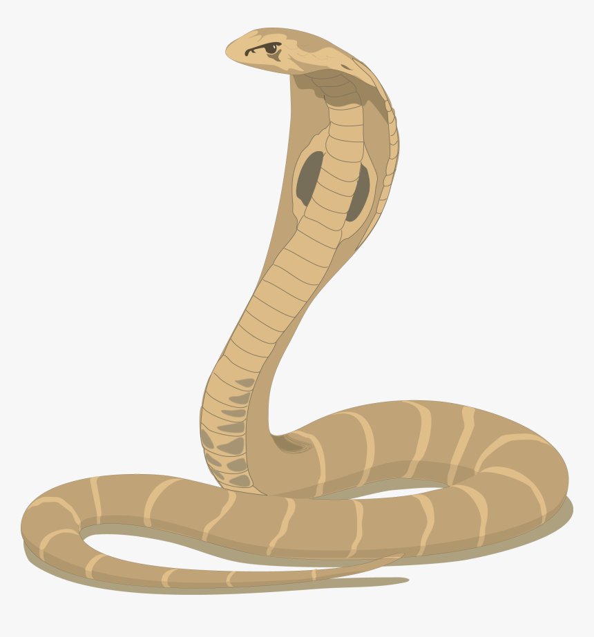 Cobra Snake Png - Nag Panchami Image Hd, Transparent Png, Free Download