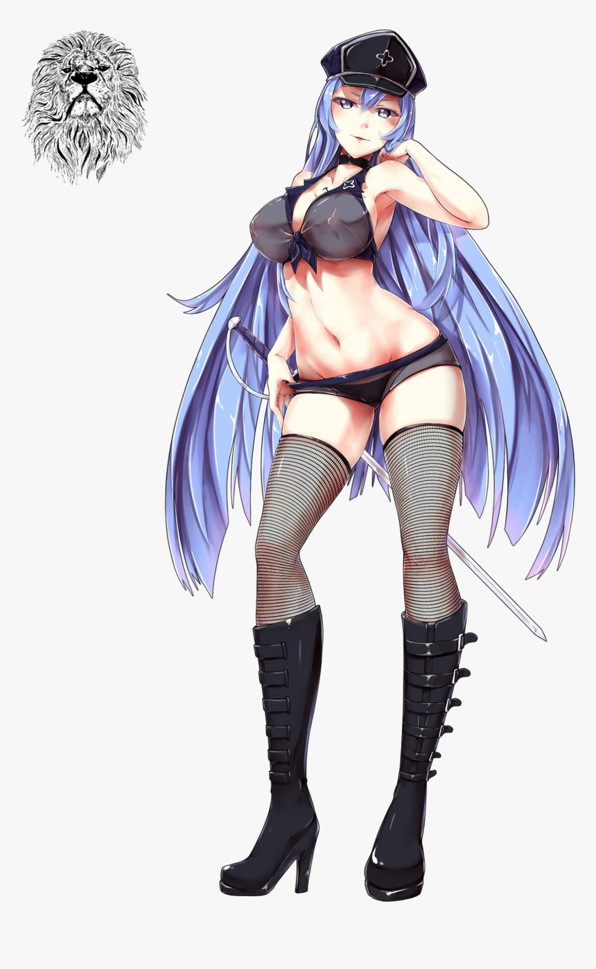 Render Akame Ga Kill Esdeath - Cartoon, HD Png Download, Free Download