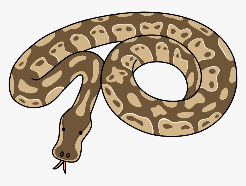 Snake, HD Png Download, Free Download