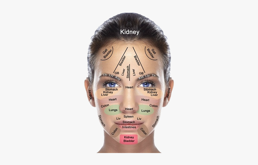 Spots On Face Diagram, HD Png Download, Free Download
