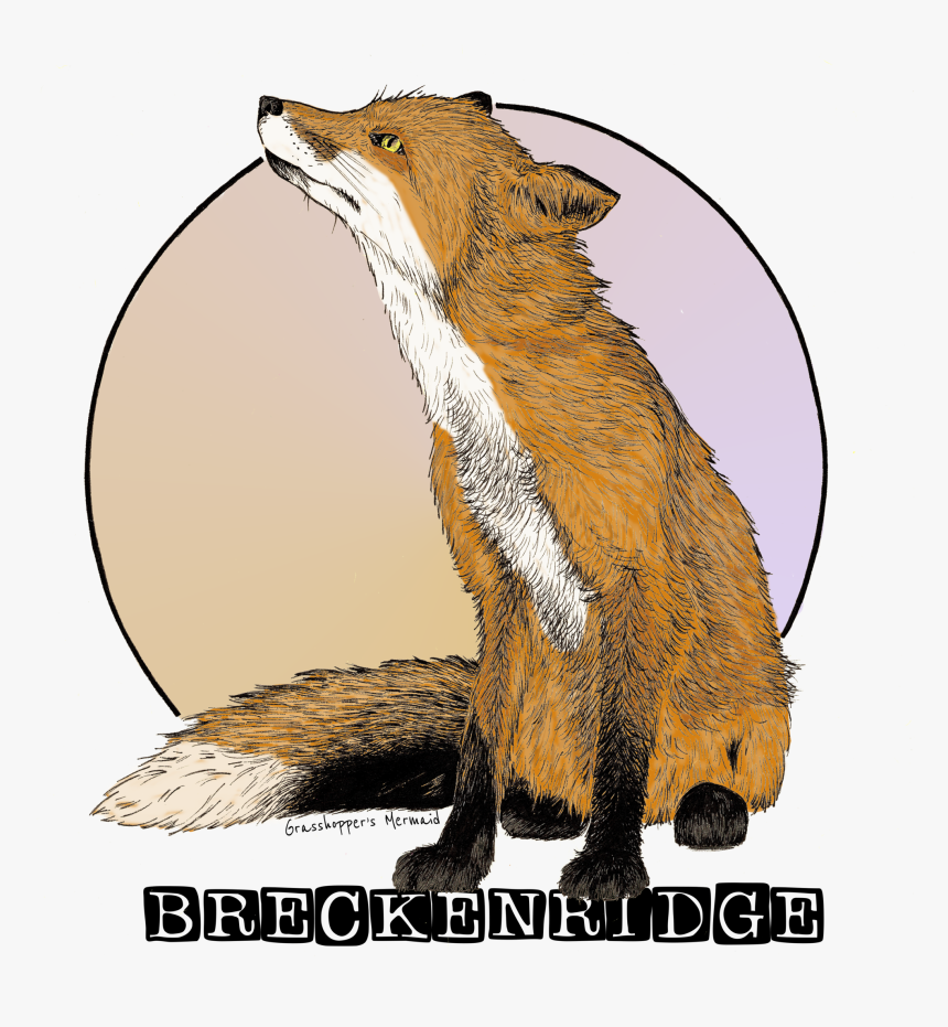 Red Fox, HD Png Download, Free Download