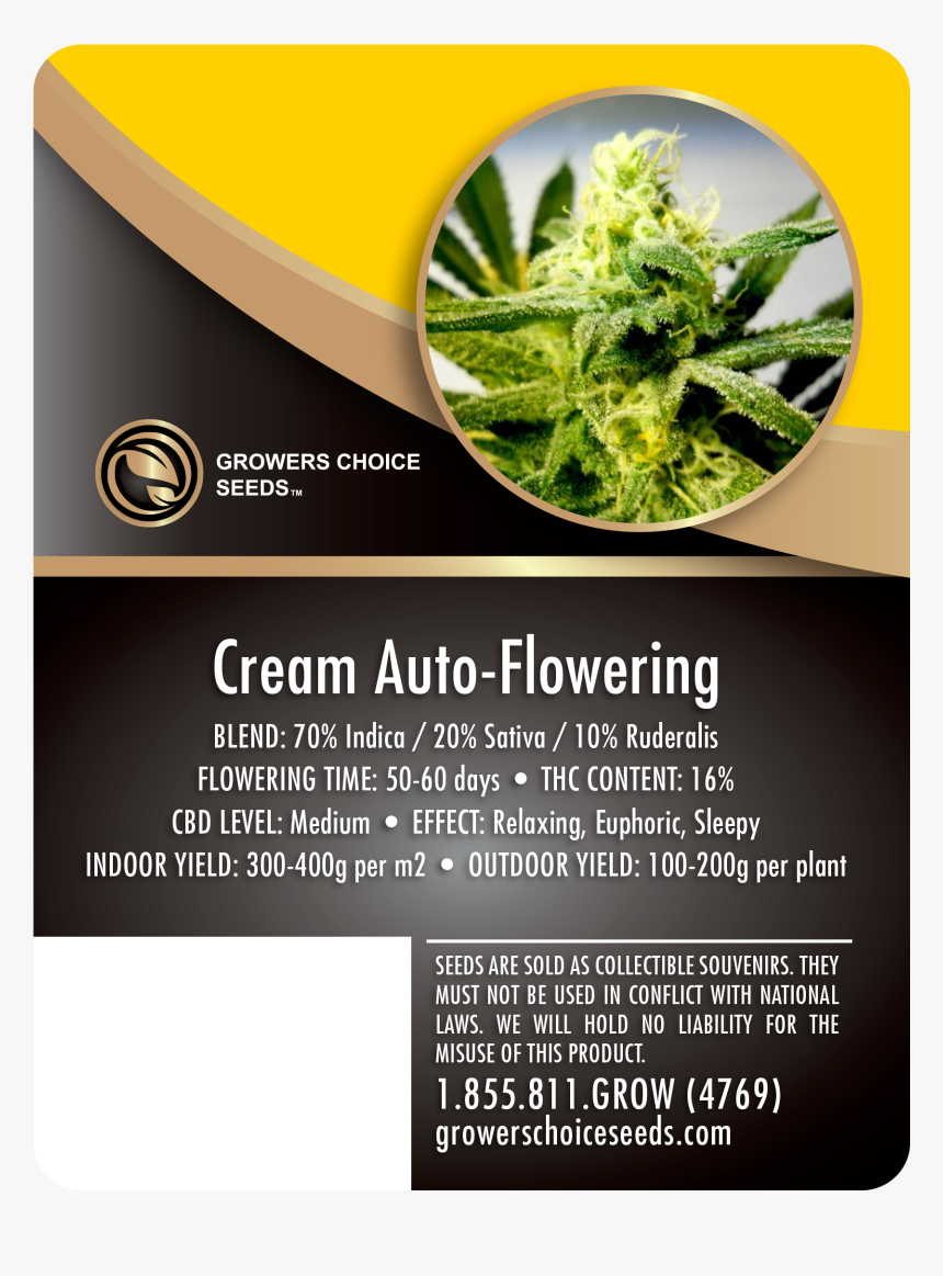 Feminized Autoflower Seed Pack, HD Png Download, Free Download